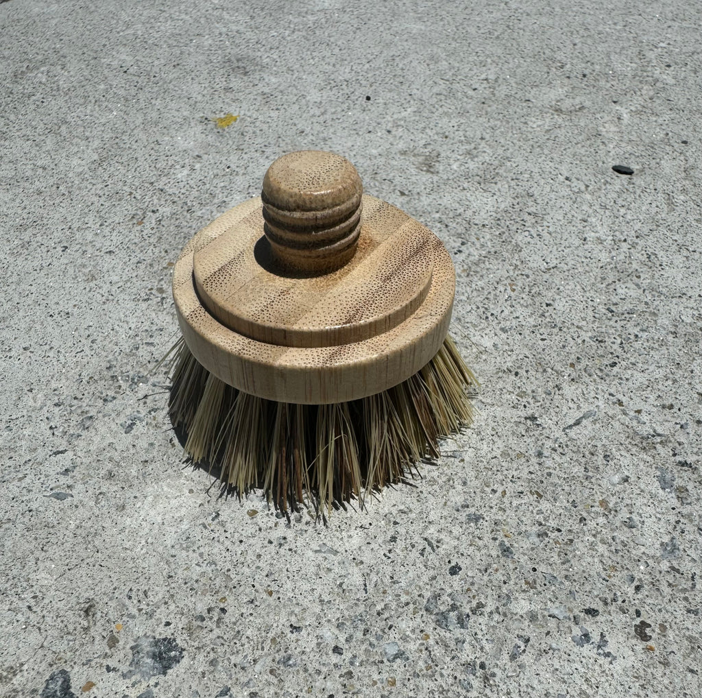 dish brush head - replacement 00X
